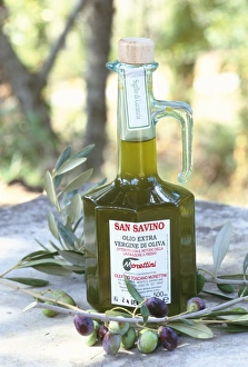 Olive Oil Prints: Olive oil, Tuscany
