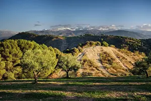 Granada Prints: Olive trees and hills behind Granada and wide landscape with the snowy Sierra Nevada behind
