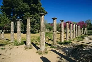 Images Dated 31st July 2008: Olympia, birthplace of the Olympic games in 776 BC