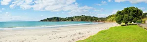North Island Prints: Oneroa Beach, Waiheke Island, Auckland, North Island, New Zealand, Pacific