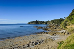 Gulf Prints: Oneroa beach, Waiheke Island, Hauraki Gulf, North Island, New Zealand, Pacific