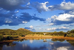 Land Form Prints: Ongava Game Reserve, Namibia, Africa