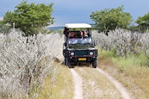 Ongava Game Reserve, Namibia, Africa