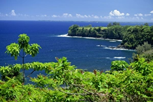 Onomea Bay by the Pepeekeo Four-Mile scenic drive on