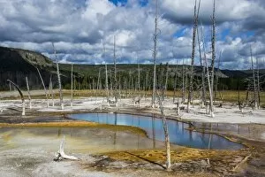 Geothermal Gallery: Opalescent pool in the Black Sand Basin, Yellowstone National Park, UNESCO World Heritage Site