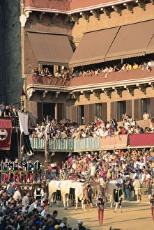 Celebrate Prints: The opening parade of the Palio horse race