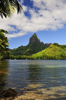 Moorea Prints: Opunohu Bay and Mount Mauaroa, Moorea, French Polynesia, South Pacific Ocean, Pacific
