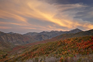 Uinta National Forest Prints: Orange clouds at sunset over orange and red maples in the fall, Uinta National Forest