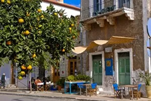 Images Dated 2nd November 2007: Orange tree in a little village in the Lakonian Mani, Peloponnese, Greece, Europe