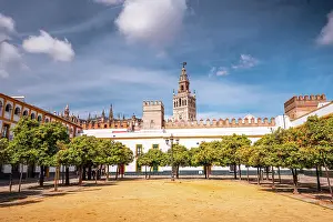 Historical Site Prints: Orange trees in a park featuring the cathedral spire of Seville, Andalusia, Spain, Europe