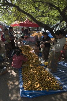 Oranges Prints: Oranges in market, Luang Prabang, Laos, Indochina, Southeast Asia, Asia