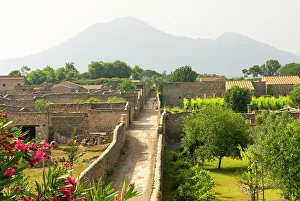 Roman Empire Prints: Orchard and vineyard, archaeological site of Pompeii