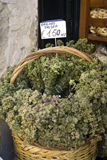 Cost Prints: Oregano, Lecce, Lecce province, Puglia, Italy, Europe