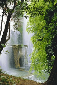 Lush Prints: Organ Complex Fountain