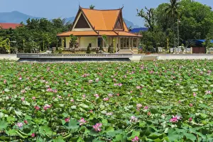 Lily Pad Prints: Ornamental lake covered with lily pads by temple pavilion at this quiet former French