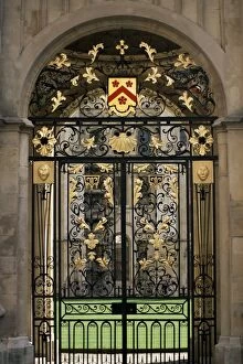 Oxford Collection: Ornate gilt gate of All Souls College, Oxford, Oxfordshire, England