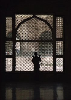 Fragile Prints: Ornate screen