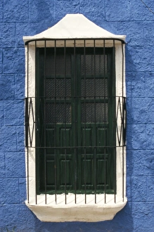 Grill Prints: Ornate window