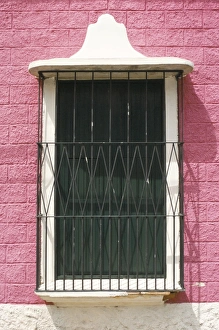 Ornate windows