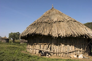 Ethiopia Prints: Oromo village near Langano lake, Rift Valley, Ethiopia, Africa