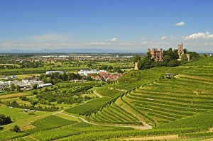 Ortenau Prints: Ortenberg Castle, Ortenberg, Ortenau, Baden-Wurttemberg, Germany, Europe