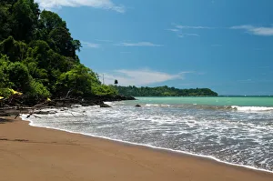 Costa Rica Gallery: Osa Peninsula, Costa Rica, Central America