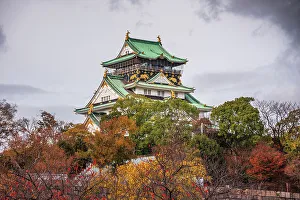 Osaka Prints: Osaka Castle with autumnal trees, Osaka, Honshu, Japan, Asia