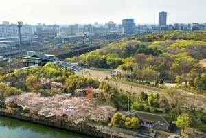 Blossom Prints: Osaka Castle Park, Osaka, Honshu island, Japan, Asia