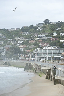 Otago Harbour, St. Clair, Otago, South Island, New Zealand, Pacific