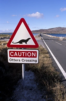 Otters road sign