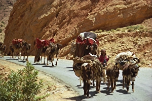 Camels Prints: Oued Abiod Gorge, Aures Mountains, Algeria, North Africa, Africa