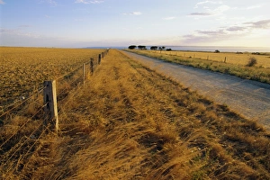 Outback Prints: Outback road, Cape Jervis, South Australia, Australia