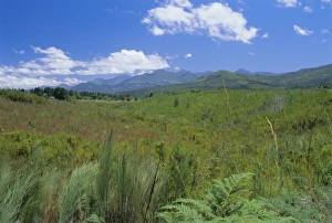 Outeniqua Mountains