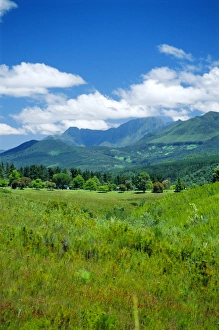 Garden Route Prints: Outeniqua Mountains