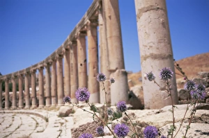 Jerash Prints: Oval plaza