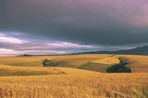 Overberg landscape