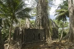 Overgrown church with big roots, Ross Island, Andaman Islands, India, Asia