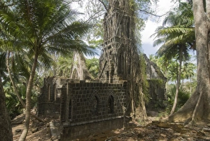 Overgrown church with big roots, Ross Island, Andaman Islands, India, Asia Overgrown church with big roots, Ross Island, Andaman Islands, India, Asia