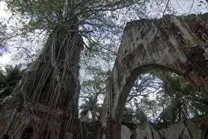 Overgrown destroyed church on Ross Island, formerly known as the Paris of the Indian Ocean
