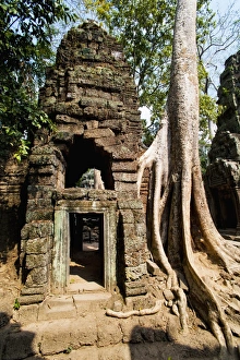 Over Grown Prints: Overgrown roots and ruins at Ta Prohm Temple