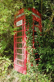 Convenience Prints: Overgrown telephone box, England, United Kingdom, Europe