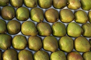 Small Number Of Objects Prints: Overhead view of rows of pears in packaging