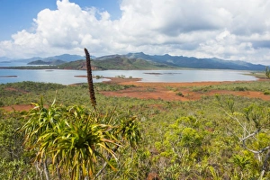 New Caledonia Prints: Overlook over the Blue River Provincial Park, Yate, New Caledonia, Pacific