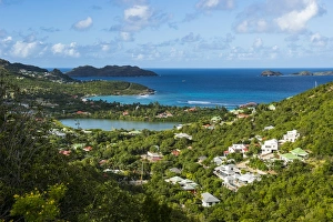 Verdant Prints: Overlook over the coastline of St. Barth (Saint Barthelemy), Lesser Antilles, West Indies