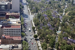 Historic Center Prints: Overview of Almeda Park, Historic Center, Mexico City, Mexico, North America