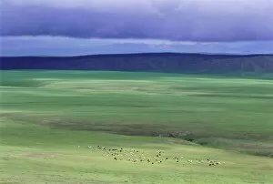 Images Dated 5th August 2008: Ovorkhangai Province