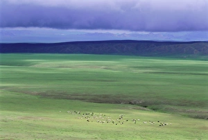 Images Dated 5th August 2008: Ovorkhangai Province
