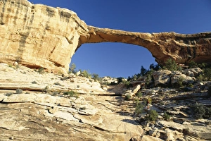 Arid Landscape Prints: Owachomo Bridge