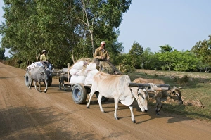 Images Dated 14th January 2008: Ox cart, Cambodia, Indochina, Southeast Asia, Asia