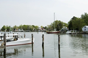 Maryland Prints: Oxford Bellevue Ferry